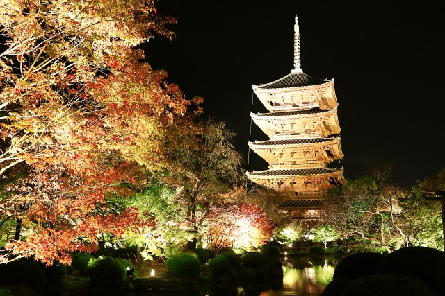 秋の京都で今話題の“ずらす旅”